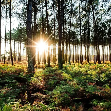 Duplex Curistes - Conciergerieland