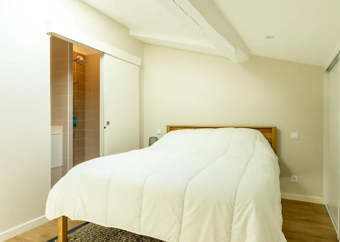 Apartment Duplex Curistes - Conciergerieland *