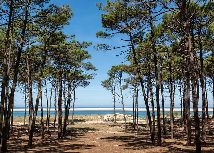 Duplex Curistes - Conciergerieland *