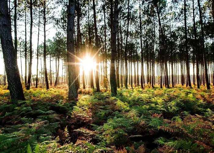 Duplex Curistes - Conciergerieland